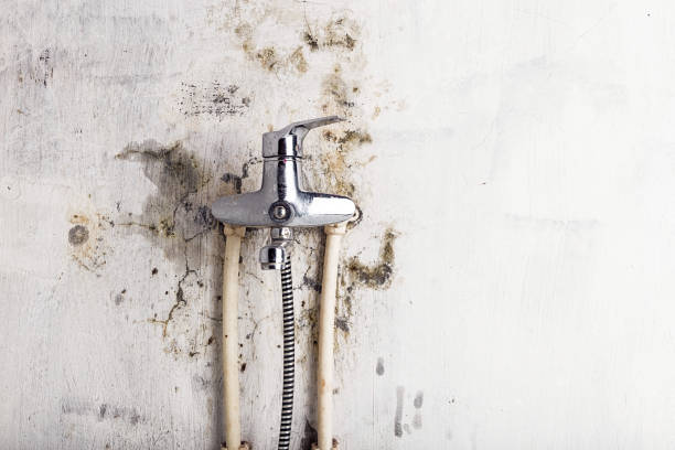 Trusted Lake Katrine, NY Mold Remediation Experts